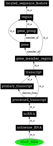 Graph image for SO:0000383