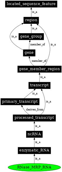 Graph image for SO:0000385