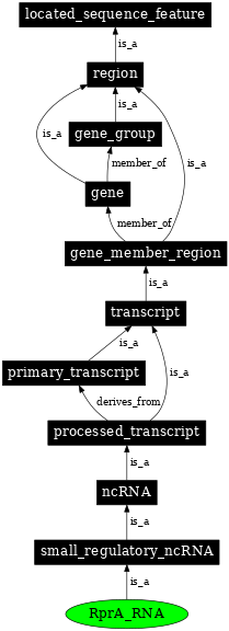 Graph image for SO:0000387