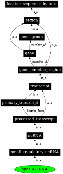 Graph image for SO:0000389