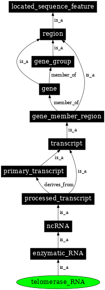 Graph image for SO:0000390