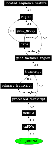 Graph image for SO:0000391