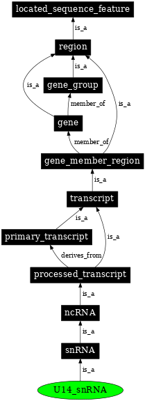 Graph image for SO:0000403