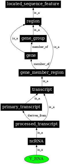 Graph image for SO:0000405