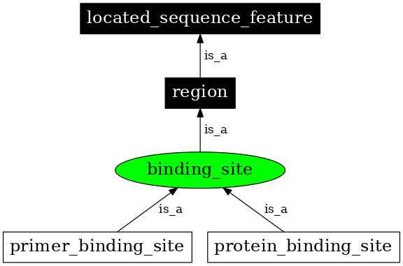 Graph image for SO:0000409