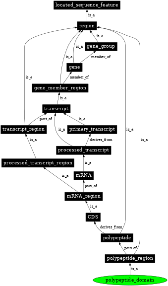 Graph image for SO:0000417