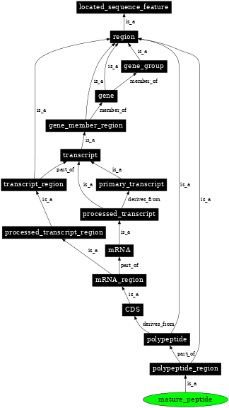 Graph image for SO:0000419