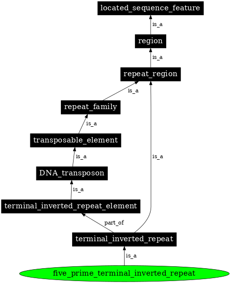 Graph image for SO:0000420