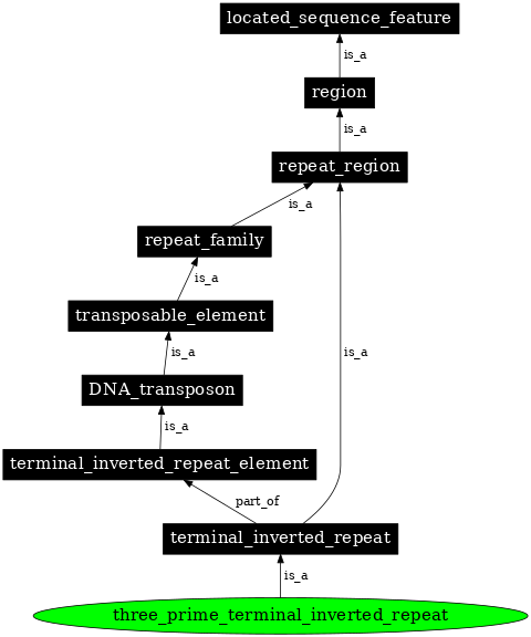 Graph image for SO:0000421