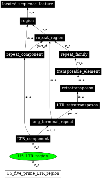 Graph image for SO:0000422