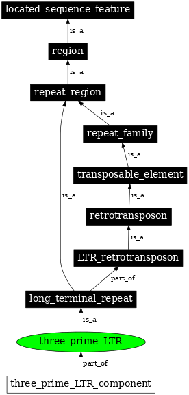Graph image for SO:0000426