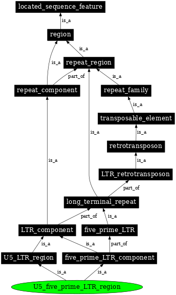 Graph image for SO:0000428