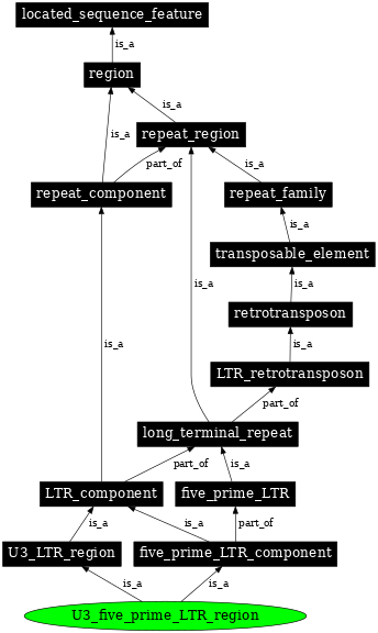 Graph image for SO:0000429