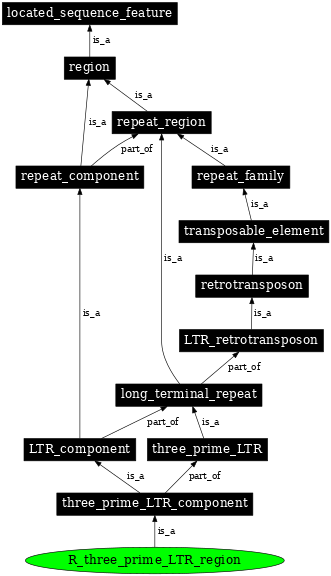 Graph image for SO:0000430