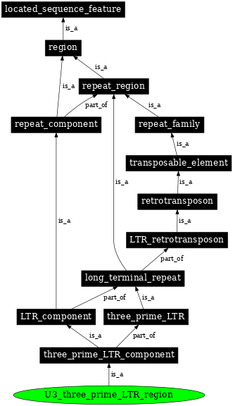 Graph image for SO:0000431