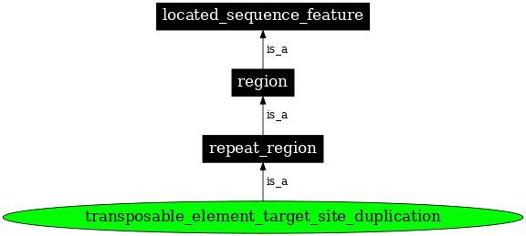Graph image for SO:0000434
