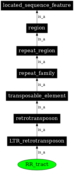 Graph image for SO:0000435