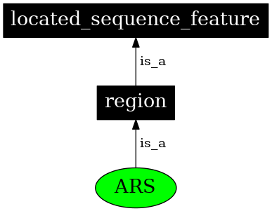 Graph image for SO:0000436