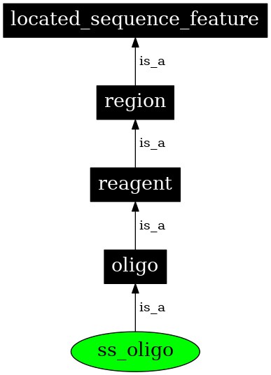 Graph image for SO:0000441