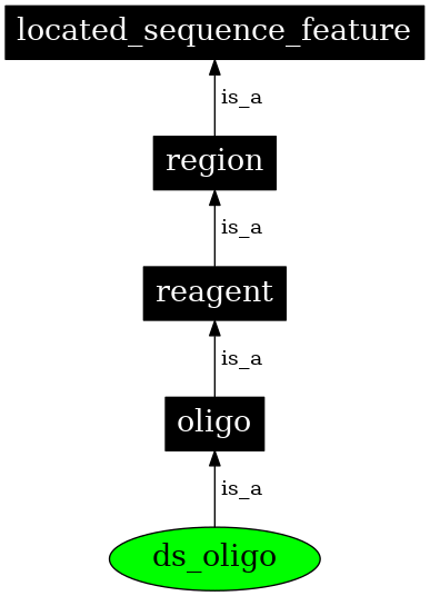 Graph image for SO:0000442