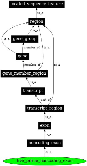 Graph image for SO:0000445