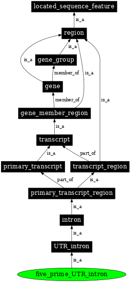 Graph image for SO:0000447