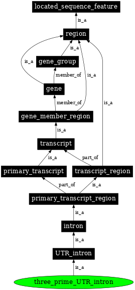 Graph image for SO:0000448