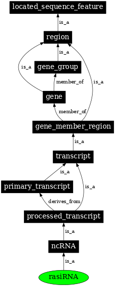 Graph image for SO:0000454