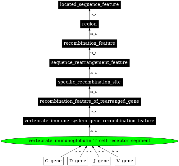 Graph image for SO:0000460