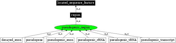 Graph image for SO:0000462