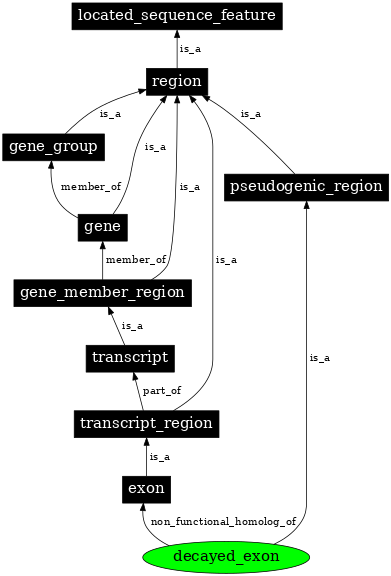 Graph image for SO:0000464