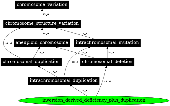 Graph image for SO:0000465