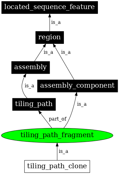 Graph image for SO:0000474
