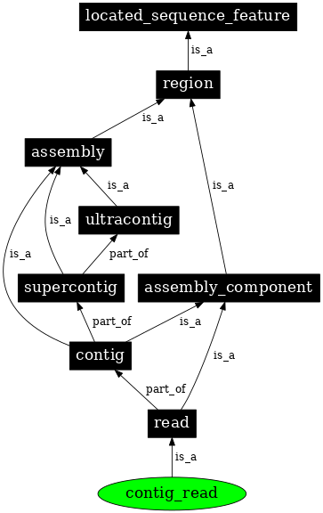 Graph image for SO:0000476