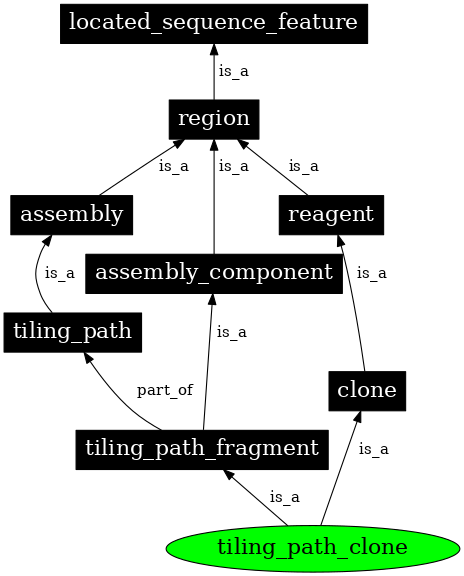 Graph image for SO:0000480