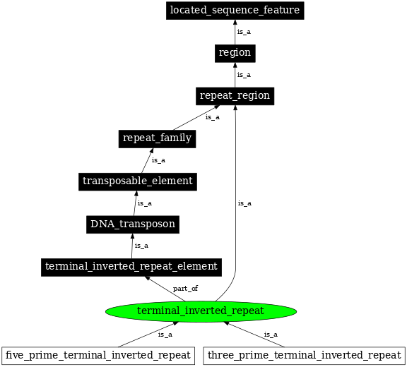 Graph image for SO:0000481