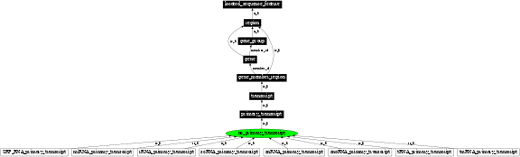 Graph image for SO:0000483