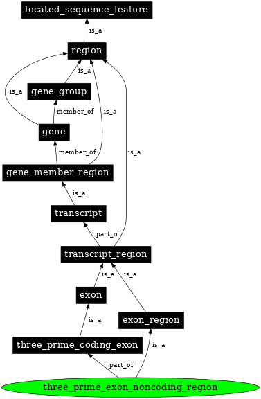 Graph image for SO:0000484