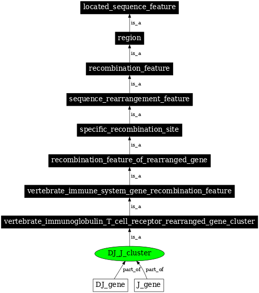 Graph image for SO:0000485