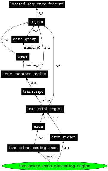 Graph image for SO:0000486