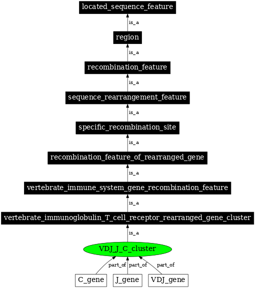Graph image for SO:0000487