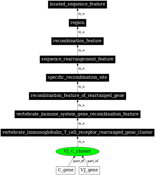Graph image for SO:0000489