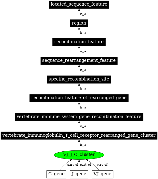 Graph image for SO:0000490
