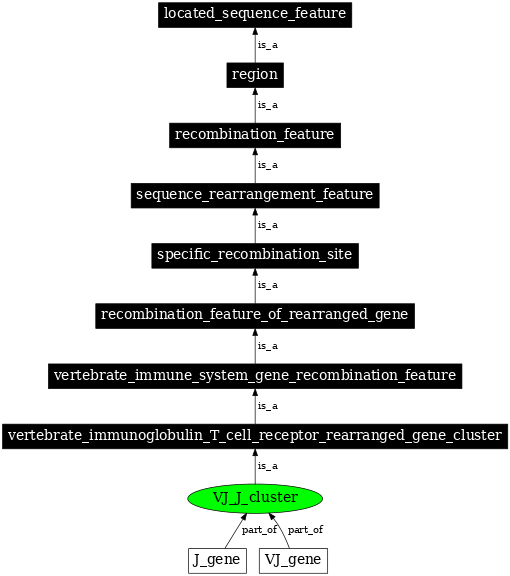 Graph image for SO:0000491