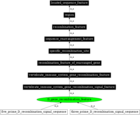 Graph image for SO:0000492