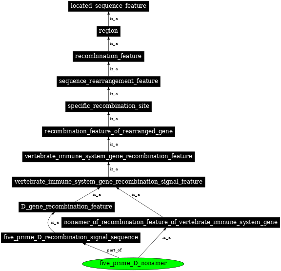 Graph image for SO:0000497