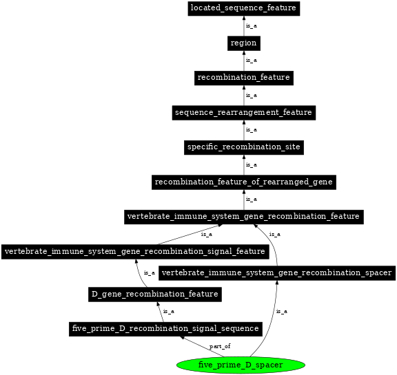 Graph image for SO:0000498