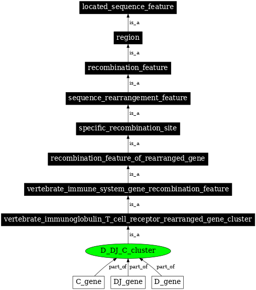 Graph image for SO:0000504