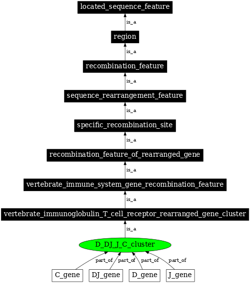 Graph image for SO:0000506