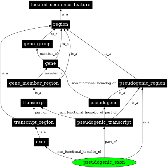 Graph image for SO:0000507